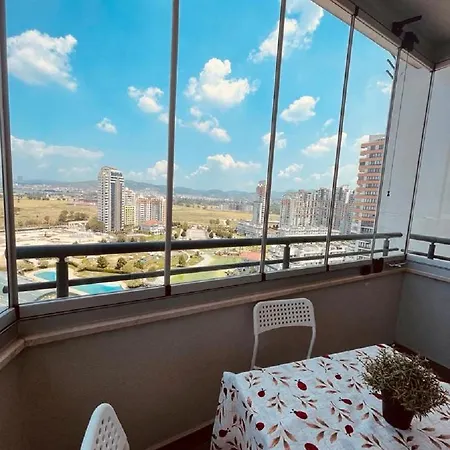 Apartment Mount View